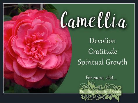 October witchcraft wedding camellia